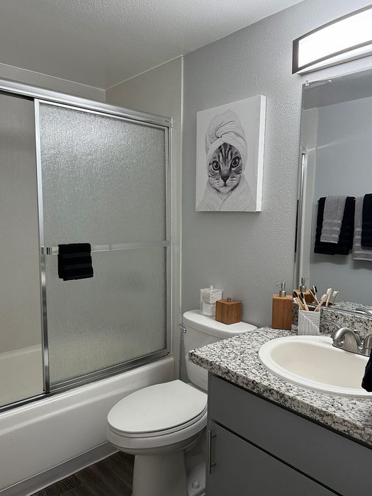 Modern bathroom with sleek granite countertops, elegant shower enclosure, and whimsical cat wall art for a stylish touch.