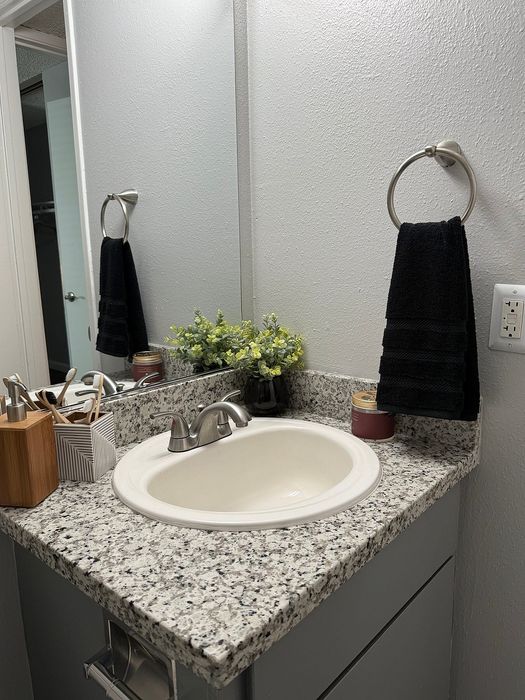 Elegant bathroom with a modern granite countertop, sleek faucet, and decorative plant adding a fresh touch.