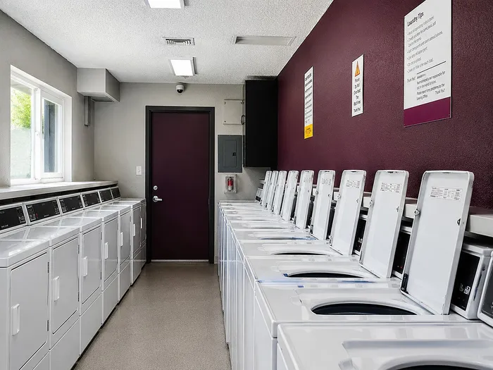 Modern laundry room with rows of efficient washing machines and vibrant maroon accent wall.