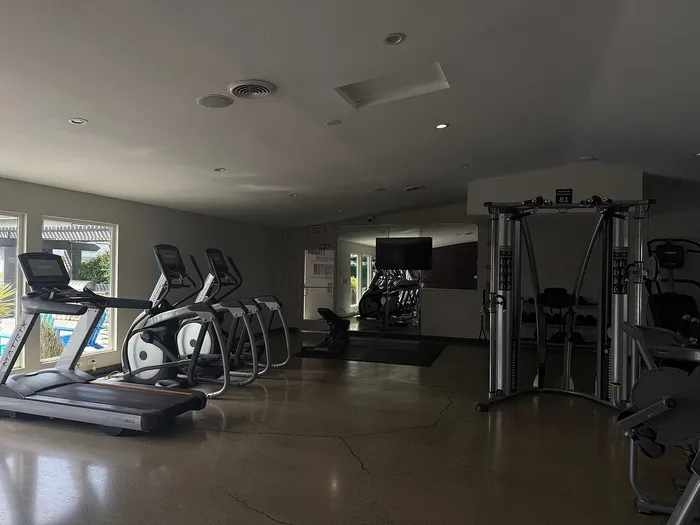 Modern apartment gym with high-end equipment and natural lighting for a top-tier fitness experience.