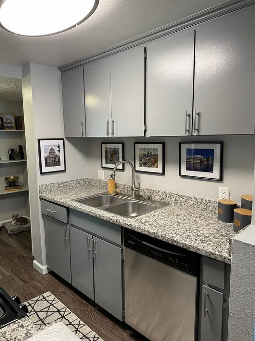Modern kitchen with sleek grey cabinets, granite countertops, and stainless steel dishwasher, complemented by stylish framed art.