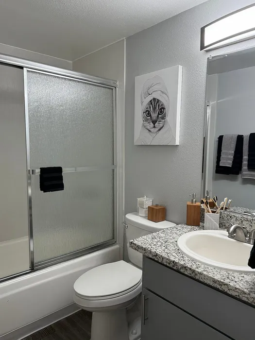 Modern bathroom with sleek granite countertop, elegant shower, and playful cat-themed artwork on the wall.