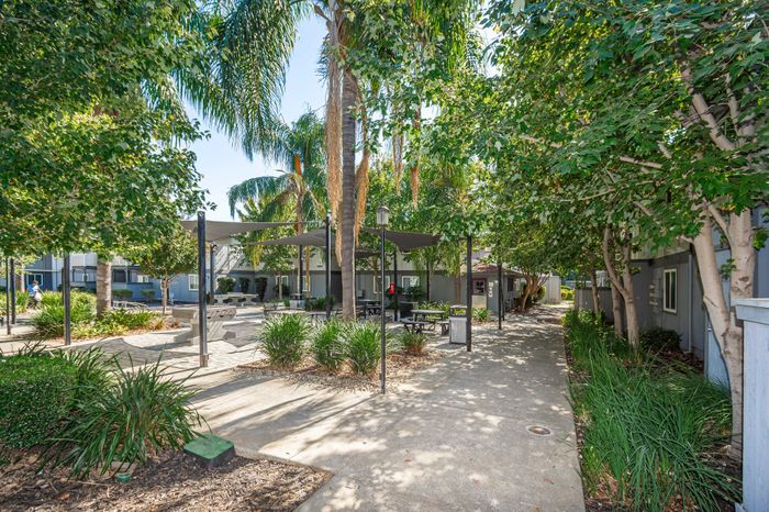 University River Village C - Tree-lined Pathway