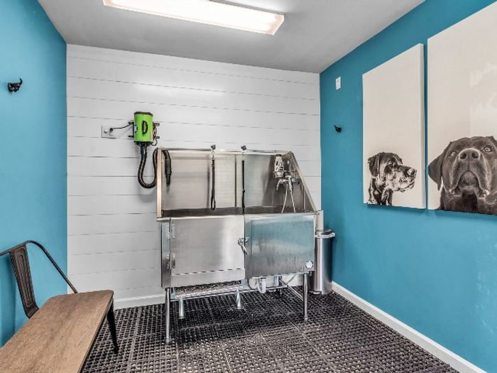 Pamper Your Pet | East Amherst NY Apartment Homes | Autumn Creek Apartments