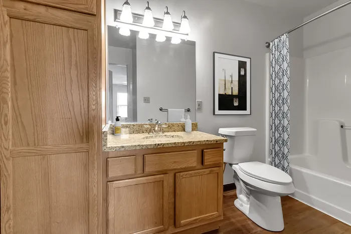 Elegant bathroom with modern lighting, granite countertop, and artistic decor.