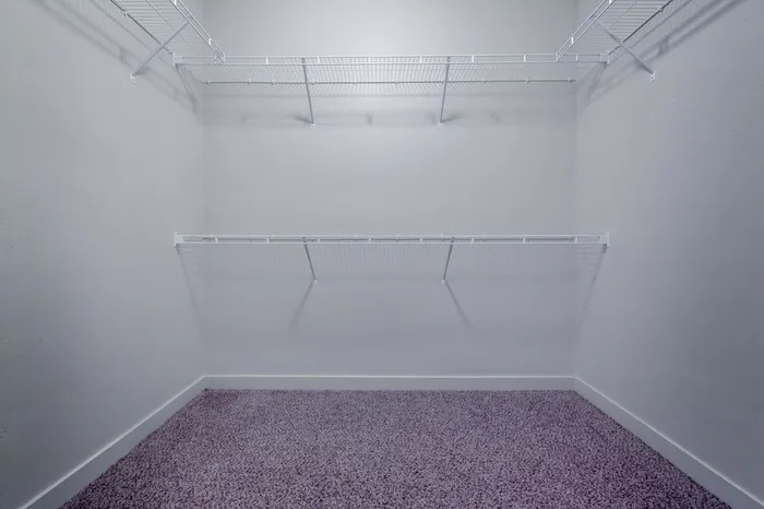 Large walk-in closet