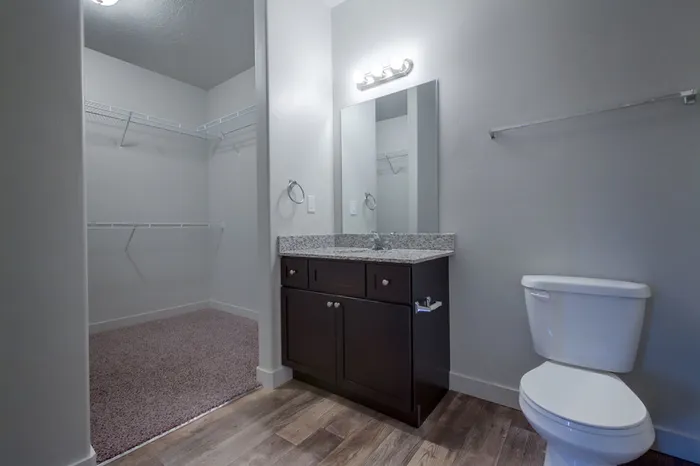 Master bathroom showing toilet, sink vanity, and entrance to walk-in closet.