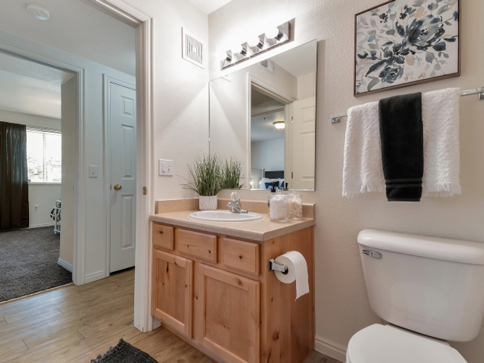 Jack and Jill Bathroom view from master