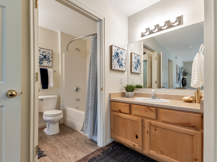 Quarter bath sink and vanity area in Master Bedroom