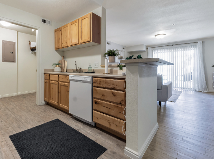 Kitchen View of Goose Neck sink with Sprayer and Dishwasher