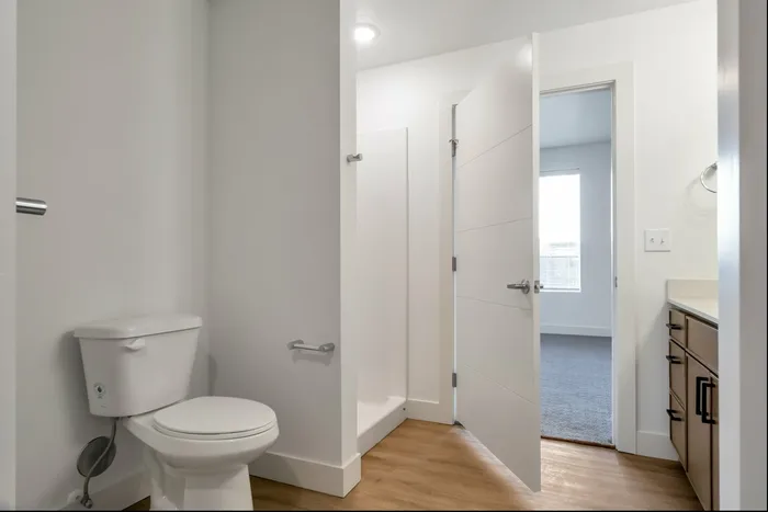 Alterntaive vire of the Brighton Primary Bathroom showing the toilet and the standup shower