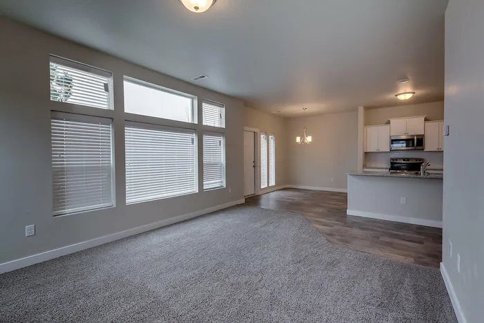 Living Room and Kitchen 1