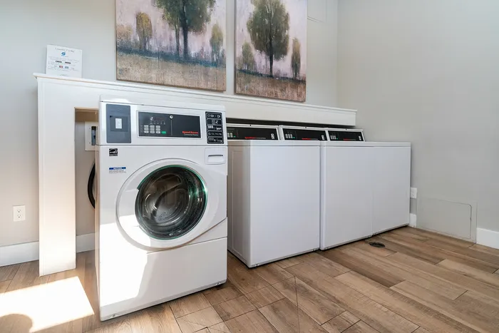 Modern and inviting laundry room featuring state-of-the-art washing machines and stylish wood flooring.