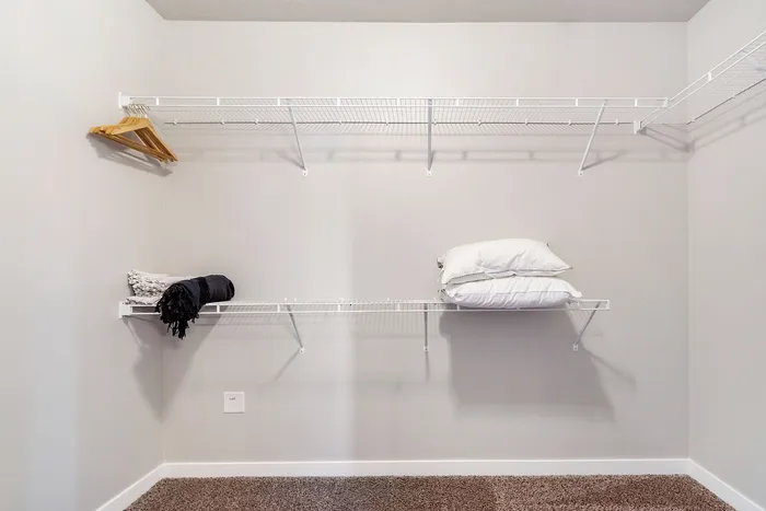 Spacious walk-in closet with organized shelving and cozy carpet flooring, perfect for stylish storage solutions.