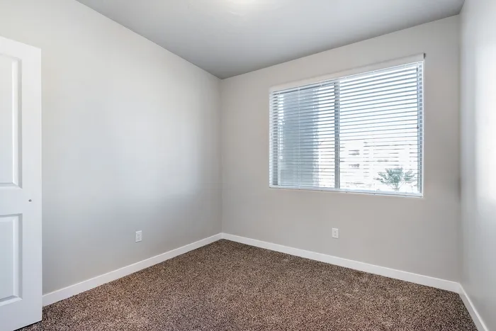 Bright, cozy room with plush carpet and a large window, perfect for natural lighting and contemporary living.