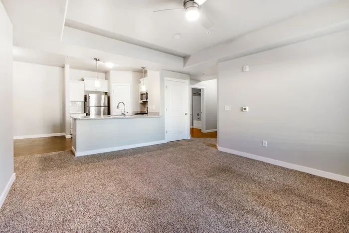 Modern open-plan apartment featuring a sleek kitchen with stainless steel appliances and a spacious living area with cozy carpet flooring.