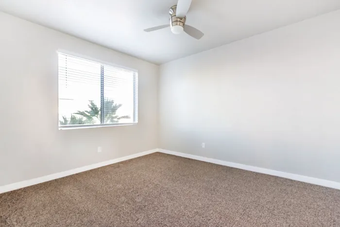 Bright and airy room featuring plush carpet, large window with natural light, and a sleek ceiling fan.