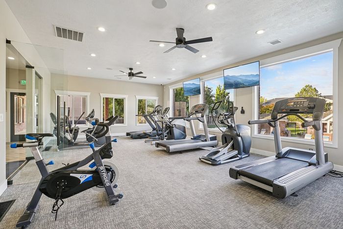 Modern gym with large windows featuring exercise bikes and treadmills, offering a bright and inviting workout space with scenic outdoor views.