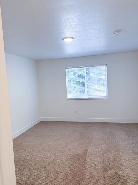 Thoughtfully renovated living spaces with updated flooring, lighting, and contemporary design details.