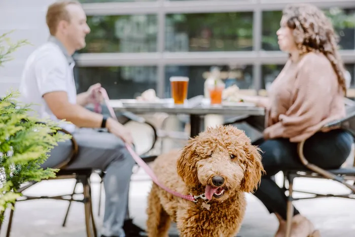 Pet-Friendly Living | Apartment Homes in Pflugerville , Texas | LC Plfugerville