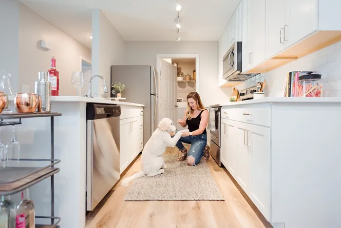 Pet-Friendly Living | New Albany OH Apartment For Rent | LC New Albany