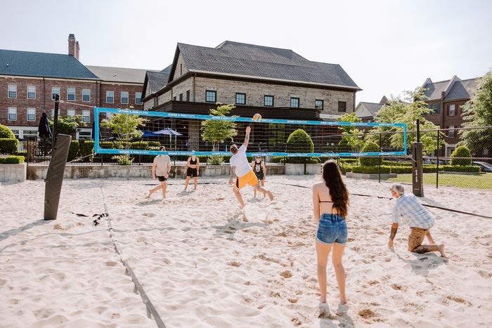 The Goat Volleyball