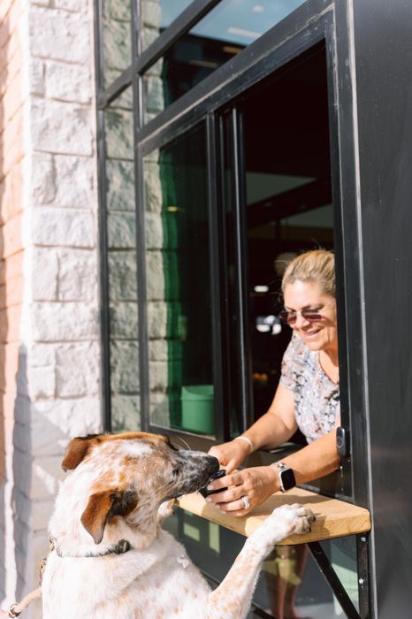 Pet-Friendly Living | Apartment Homes in Pflugerville , Texas | LC Plfugerville