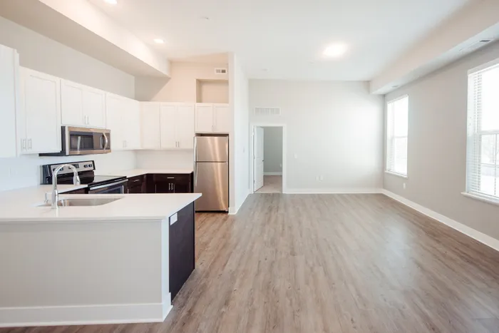 Spacious open-concept kitchen and living area with sleek appliances and abundant natural light.