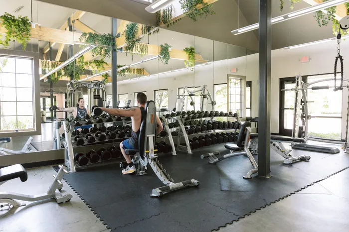 Bright and modern gym facility with state-of-the-art fitness equipment, mirrors, and lush greenery for an invigorating workout experience.