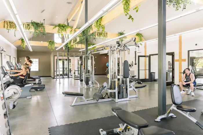 Modern gym with state-of-the-art equipment, vibrant greenery, and skylights creating a refreshing workout atmosphere.