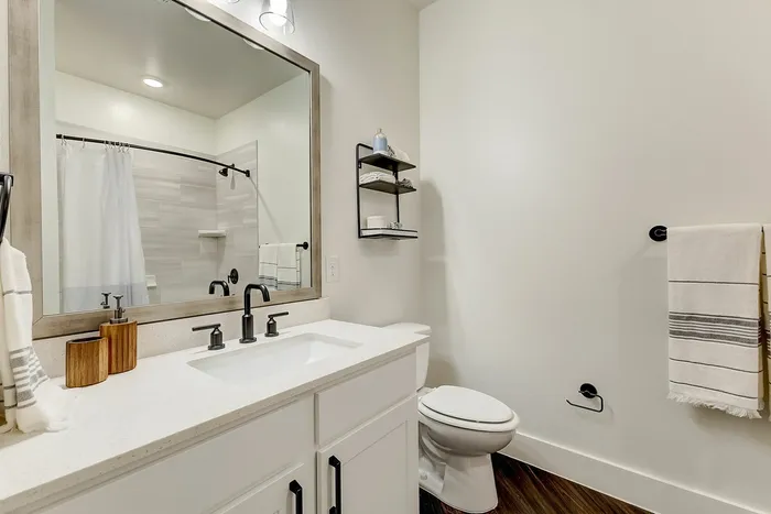 Bathroom with hardwood-style flooring, quartz countertops, black plumbing and hardware fixtures