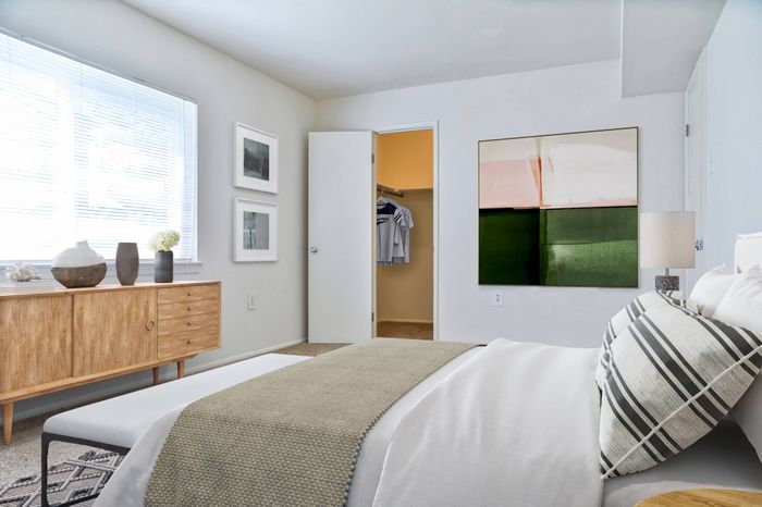 Bedroom with walk-in closet