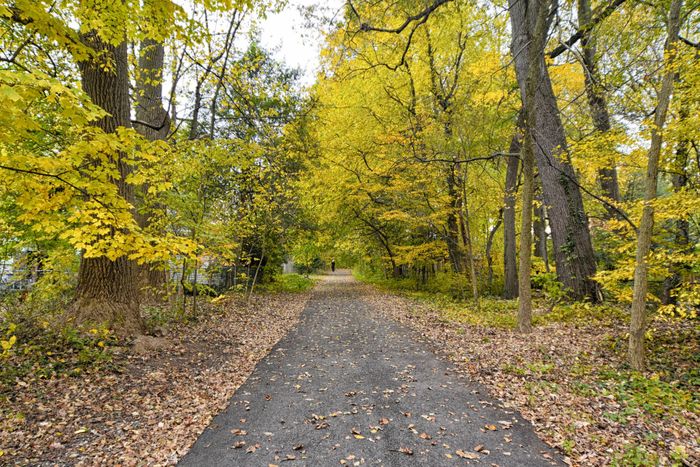 Walking trail