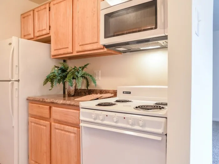 Applegate Apts; interior, kitchen, electric range, microwave with vent, maple cabinets, frost free fridge, GFI outlets