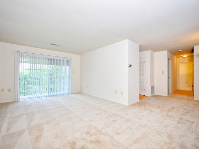 Interior living room