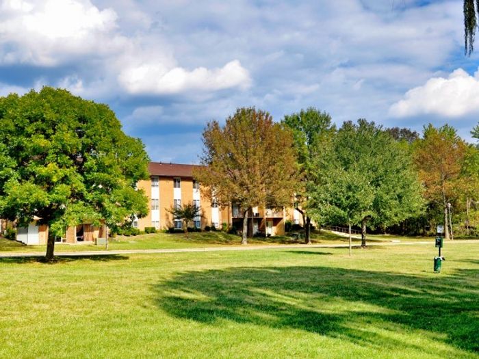 Exterior landscape