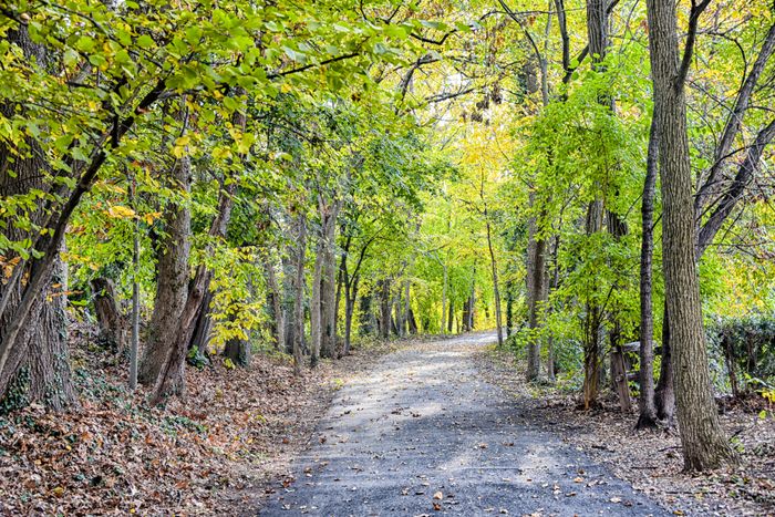 Walking trail on community