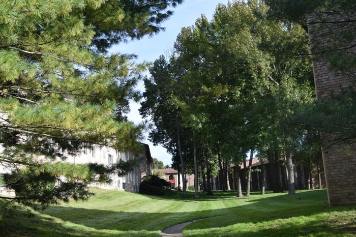Cranberry Run Apts, Exterior, 3 story buildings, manicured grass, shrubs, and bushes