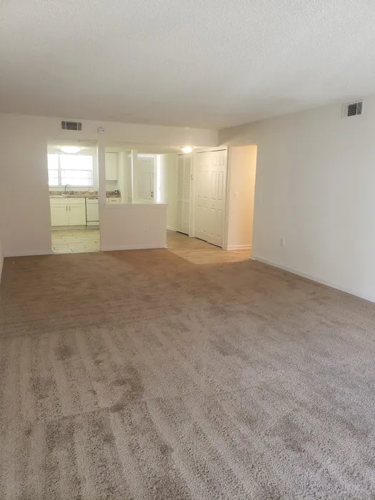 Living room with carpet