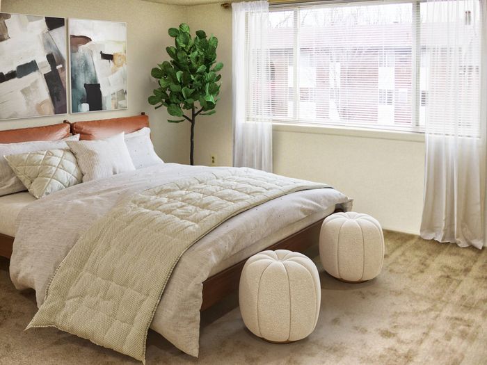 Master bedroom, large window