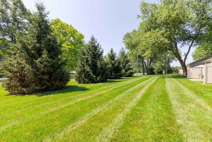 Greenspace