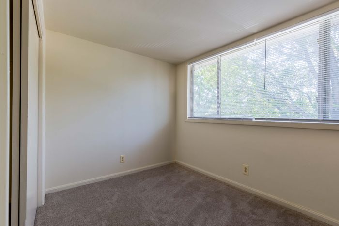 Large Windows and Great Natural Light