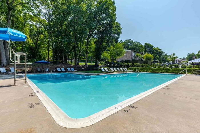 Pool and Lounge Chairs