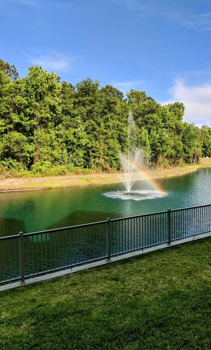 Pond View