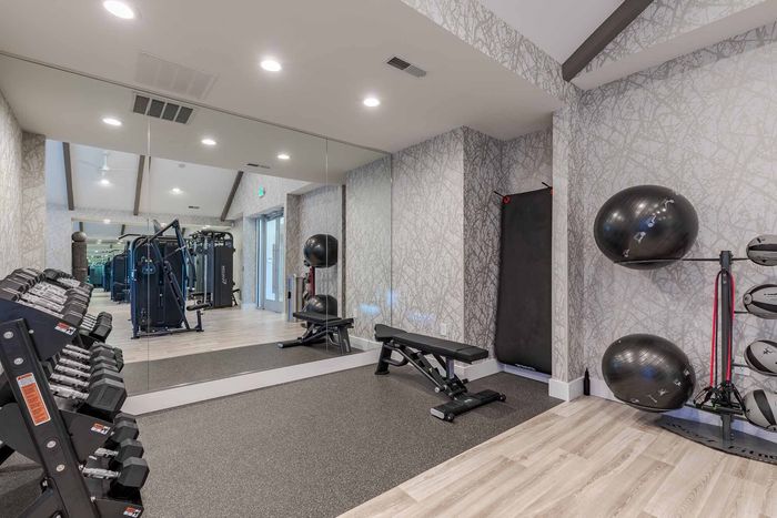 New Fitness Center with Weight Rack, Exercise Balls, and Mirrors