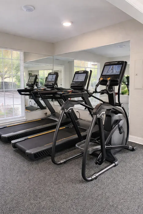 New Treadmills and Elliptical Machine