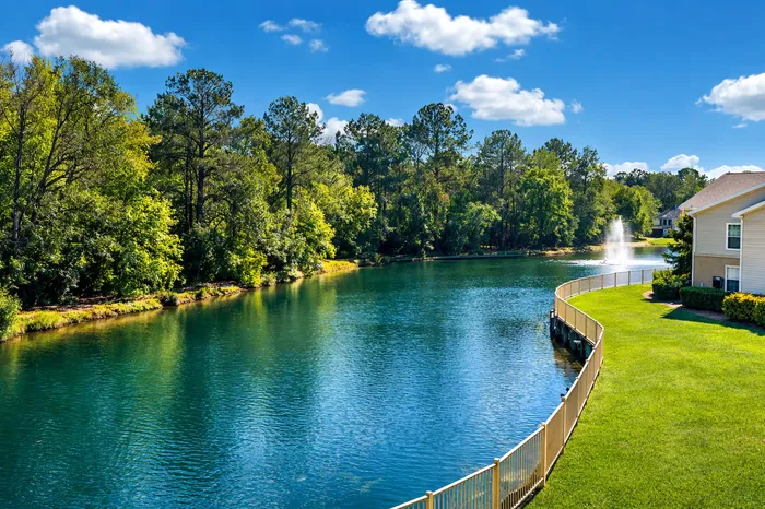 Creekside Park Pond