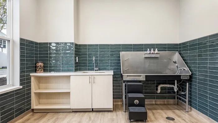 Pet Spa. Dog wash Sink with cabinetry and shelving.
