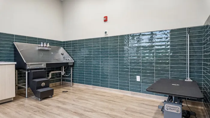 Pet Spa. Grooming table.  Dog wash.