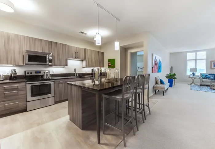 Kitchen / Living Room
